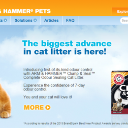 Arm & Hammer Clump & Seal cat litter